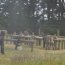 Luego de tres días de instrucción, la jornada concluyó con un ejercicio en el que los participantes pusieron en practica los conocimientos para trabajar en equipo