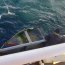 Autoridad Marítima de Punta Arenas realizó exitoso operativo de rescate