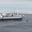 Buque Marinero Fuentealba fiscalizó pesca ilegal en aguas antárticas