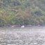 Armada rescató a 12 turistas tras naufragio de una embarcación en Hornopirén