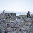 Buque “Aquiles” se encuentra realizando su 54° Expedición Científica Antártica
