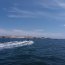 Autoridad Marítima prestó apoyo en la primera regata de la Bahía de Caldera
