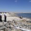 Armada protege a Elefante Marino que descansa en Bahía Inglesa