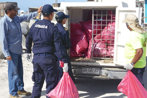 Capitanía de Puerto de Chañaral se unió a masiva limpieza en Playa Portofino