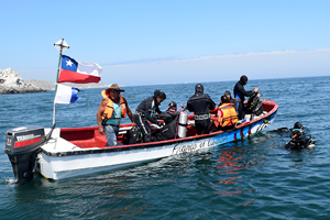 Buzos navales apoyan novedosa expedición de reconocimiento de la biodiversidad de Pan de Azúcar