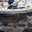 Armada evitó derrame de combustible en cercanías de la Reserva Nacional Pingüinos de Humboldt
