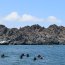 Buzos navales apoyan novedosa expedición de reconocimiento de la biodiversidad de Pan de Azúcar