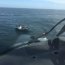  Con un helicóptero naval se rescató a 4 tripulantes en cercanías Puerto Montt  