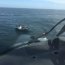 Con un helicóptero naval se rescató a 4 tripulantes en cercanías Puerto Montt