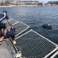  Buque Almirante Montt hizo flotar las canchas del Campeonato de Fútbol Tenis  