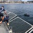 Buque Almirante Montt hizo flotar las canchas del Campeonato de Fútbol Tenis
