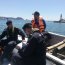 Dotación de la LSG Talcahuano fiscalizó actividades turísticas en la bahía de Coliumo
