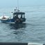  Capitanía de Puerto de Constitución incauta 3.8 toneladas de jibia junto a Sernapesca  