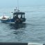 Capitanía de Puerto de Constitución incauta 3.8 toneladas de jibia junto a Sernapesca