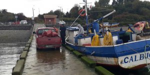 Capitanía de Puerto de Calbuco decomisó media tonelada de cholgas ilegales
