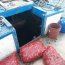 Capitanía de Puerto de Calbuco decomisó media tonelada de Cholgas ilegales