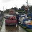 Capitanía de Puerto de Calbuco decomisó media tonelada de Cholgas ilegales