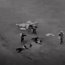 Con el uso de un drone que posee cámara termal fue que se pudo identificar a la banda