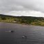 Armada apoya contención de 10 mil litros de pintura que cayeron en cercanía de río Trainel