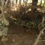 Diez cadetes Infantes de Marina se graduaron del curso “Combatiente Básico Anfibio”