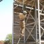 Diez cadetes Infantes de Marina se graduaron del curso “Combatiente Básico Anfibio”