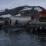 Campaña Antártica finalizó tras dar una vuelta y media al mundo