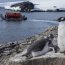  Campaña Antártica finalizó tras dar una vuelta y media al mundo  