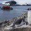 Campaña Antártica finalizó tras dar una vuelta y media al mundo