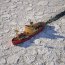 Campaña Antártica finalizó tras dar una vuelta y media al mundo