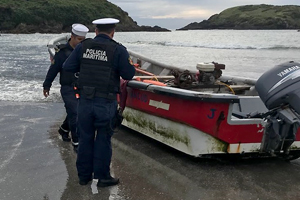 Autoridad Marítima incauta cerca de media tonelada de locos en Ancud