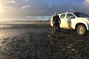 Autoridad Marítima y Sernapesca investigan varada de peces en Playas de Maullín