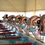 Escuela Naval realizó el Festival de 50 metros