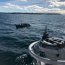 La Autoridad Marítima es la encargada de mantener la vigilancia de los recursos marinos