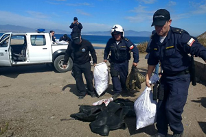 Operativo conjunto entre Autoridad Marítima de Coquimbo y Sernapesca logró incautar más de 260 kilos de macha