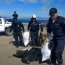Operativo conjunto entre Autoridad Marítima de Coquimbo y Sernapesca logró incautar más de 260 kilos de macha