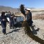 Armada junto a Sernapesca decomisaron más de una tonelada de Huiro Negro
