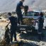 Armada junto a Sernapesca decomisaron más de una tonelada de Huiro Negro