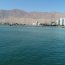 Nadadores rindieron homenaje a los Héroes de Iquique