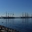 Velas Latinoamérica recaló en el puerto de Talcahuano