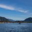 Regata Bicentenario convocó a kayakistas de toda la región de Aysén