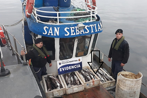 Autoridad Marítima incautó 200 kilos de merluza austral en Calbuco