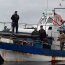 Autoridad Marítima incautó 200 kilos de merluza austral en Calbuco