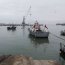  Armada capturó embarcación peruana con más de 4 mil kilos de tiburón  