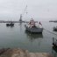 Armada capturó embarcación peruana con más de 4 mil kilos de tiburón