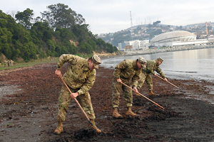 Infantes de Marina realizaron limpieza de playa en Talcahuano