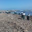 Armada consigue recolectar 22 toneladas de desechos en operativo simultáneo de limpieza de playas en el norte del país
