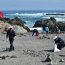Armada consigue recolectar 22 toneladas de desechos en operativo simultáneo de limpieza de playas en el norte del país