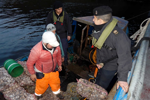 Autoridad Marítima realizó incautación de recursos marinos en zona no autorizada en Puerto Chacabuco