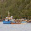  Autoridad Marítima realizó incautación de recursos marinos en zona no autorizada en Puerto Chacabuco  
