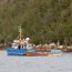 Autoridad Marítima realizó incautación de recursos marinos en zona no autorizada en Puerto Chacabuco
